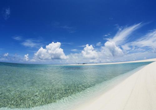 a beach with the ocean and a blue sky at Petit Resort Native Sea Amami in Tatsugo