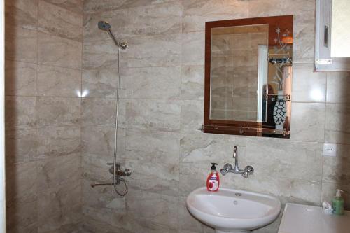 a bathroom with a shower and a sink and a mirror at Guest House Lviv Грузия in Kutaisi