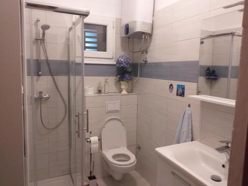 a bathroom with a toilet and a sink at Apartments Duras in Gruda