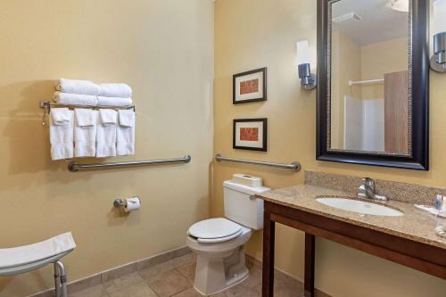 a bathroom with a toilet a sink and a mirror at Comfort Suites McKinney-Allen in McKinney