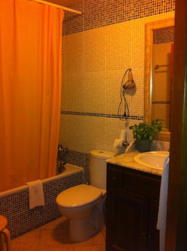 a bathroom with a toilet and a sink at Hotel Villa Románica in Aínsa