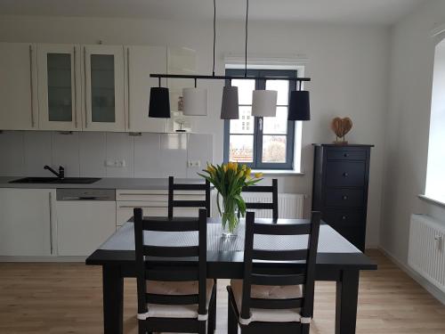 a kitchen with a dining room table and chairs at Eldenhof in Plau am See