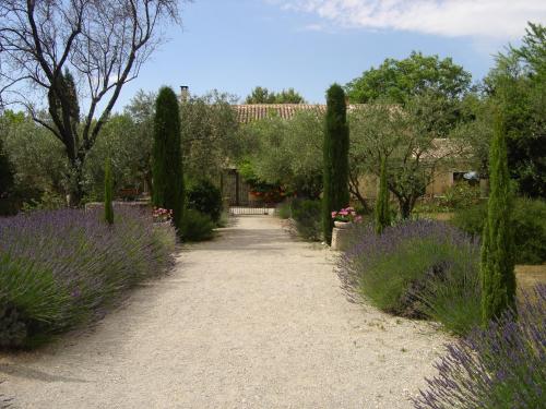 un chemin traversant un jardin avec des fleurs et des arbres violets dans l'établissement MAS SOLIGE, à Carpentras