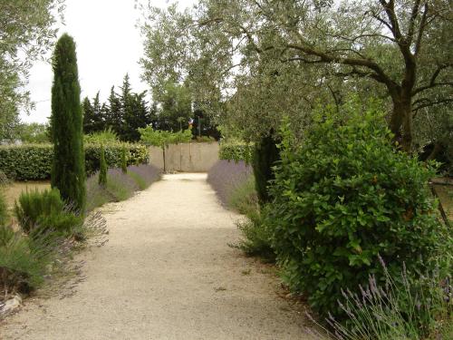un chemin dans un jardin planté d'arbres et de buissons dans l'établissement MAS SOLIGE, à Carpentras