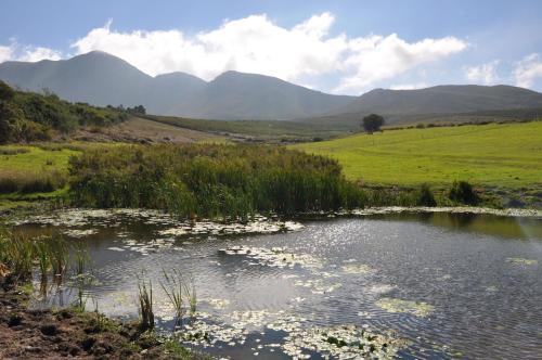 a pond with lilies in a field with mountains at Laughing Waters Farm in Stanford