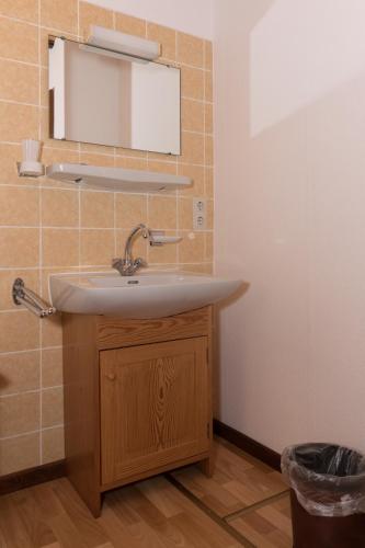 a bathroom with a sink and a mirror at Hotel-Restaurant Johanniskreuz in Trippstadt