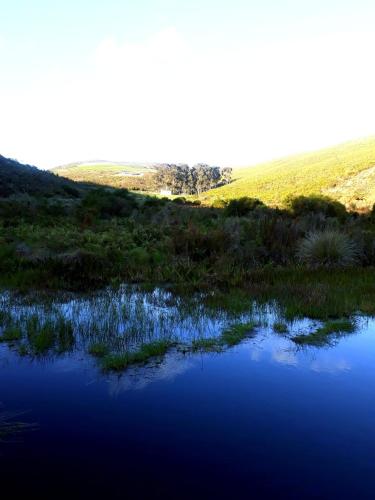 a pool of water in the middle of a field at Laughing Waters Farm in Stanford