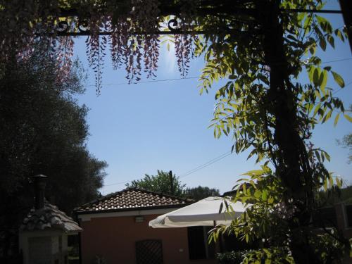 una vista del cielo da sotto un albero di Casa Vacanze Mimose a Palinuro