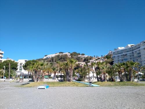 Naturlandskabet i nærheden af lejligheden