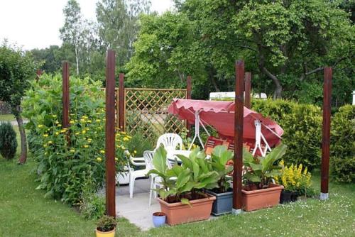 un jardin avec une table, des chaises et des plantes dans l'établissement Rügen Fewo 284, à Neu Mukran