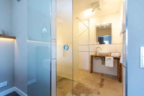 a bathroom with a glass shower and a sink at Hotel Inselhof in Malchow