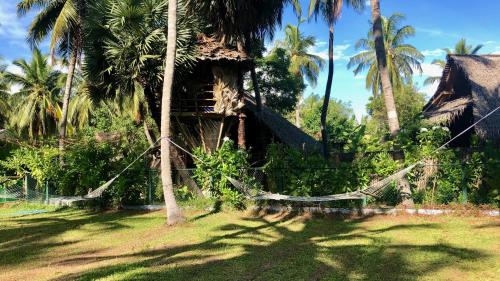 a house with palm trees and a hammock in front of it at Wind Blend Kite Resort in Kalpitiya