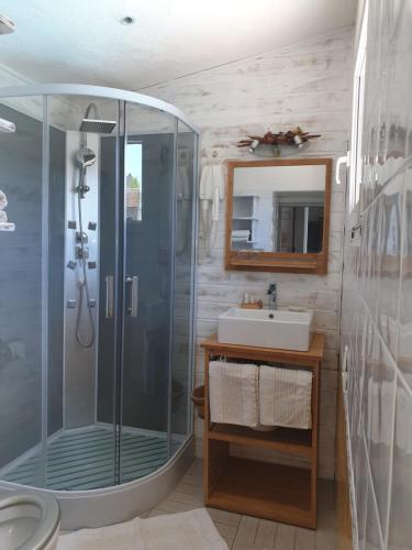 a bathroom with a shower and a sink at La Villa de la Marana in Borgo