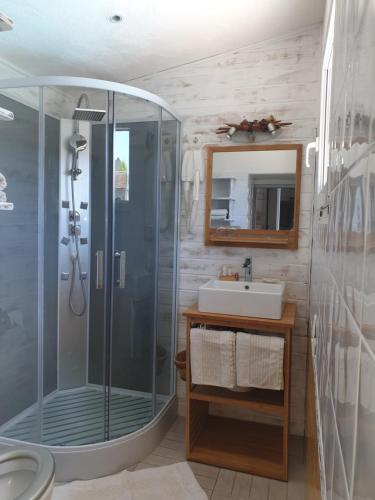 une salle de bain avec douche et lavabo dans l'établissement La Villa de la Marana, à Borgo