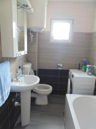 a bathroom with a sink and a toilet and a mirror at Apartments Luna in Bar