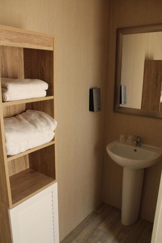 een kleine badkamer met een wastafel en een spiegel bij de Brabantse Biesbosch in Werkendam