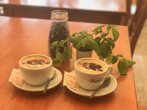 Fotografie z fotogalerie ubytování Happy Home Apartman v Siofoku