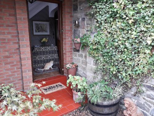 a dog sitting in the doorway of a house with plants at Thornley House in Hexham
