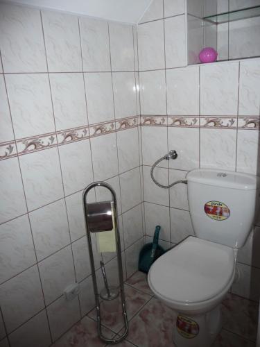 a bathroom with a toilet and a shower at Dom Sosenek in Kluszkowce