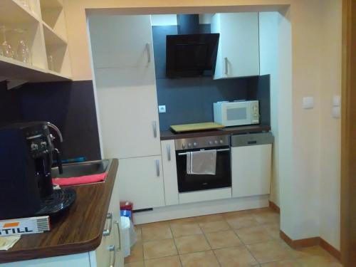 a small kitchen with a stove and a microwave at Gästehaus Kleine Lana in Obersuhl