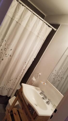La salle de bains est pourvue d'un lavabo et d'un rideau de douche. dans l'établissement South B&B El Calafate, à El Calafate