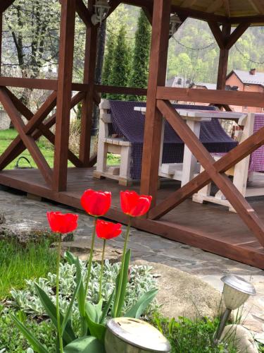 a group of red flowers in front of a gazebo at Karpatska Mria in Yaremche