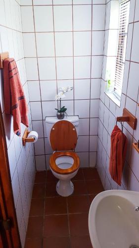 Bilik mandi di Raka Cottage