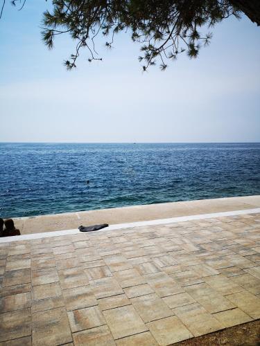 Peisaj natural din apropierea acestui apartament