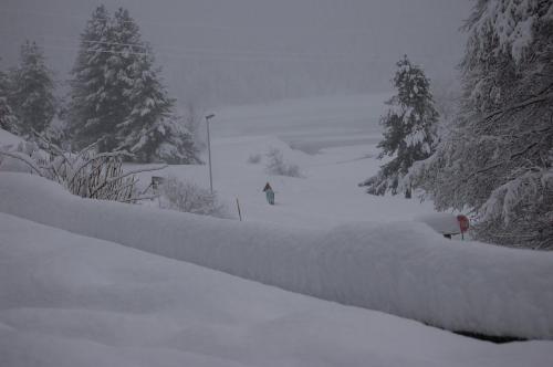 a snow covered hill with trees and a snow covered fence at hotel lo sciatore in Cotronei