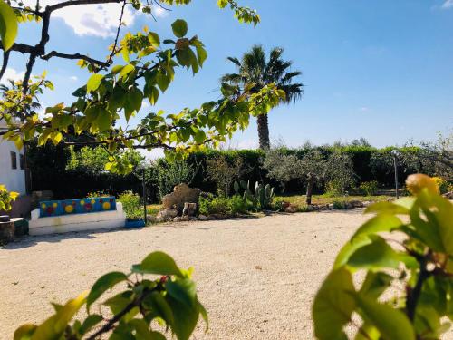 een tuin met een palmboom en een onverharde weg bij B&B Terre dì Montecoco in San Pancrazio Salentino