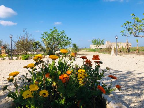 a bunch of flowers in the sand on a beach at B&B Terre dì Montecoco in San Pancrazio Salentino