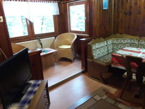 een woonkamer met een bank en een tv bij Waldhaus, Ski- und Wanderhütte in Breitenbrunn