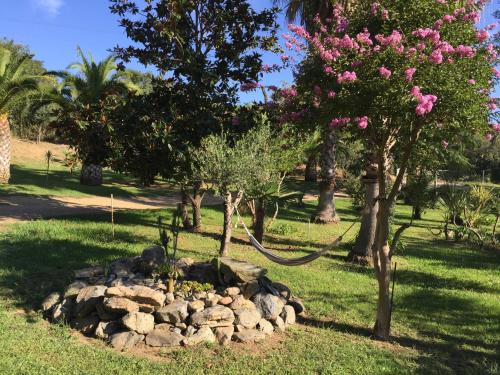 Φωτογραφία από το άλμπουμ του Résidence EMILIA σε Santa-Maria-Poggio