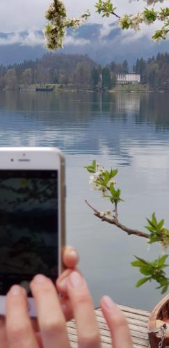 a person holding a cell phone in front of a lake at Hotel GH Kolinska in Bled