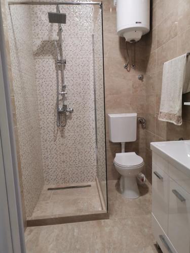 a bathroom with a shower and a toilet at Niksin san in Trebinje
