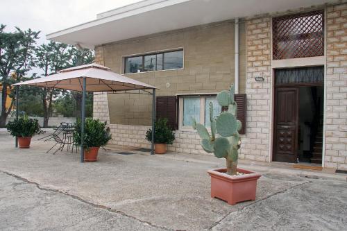 a cactus in a pot in front of a house at Da nonno in Pezze di Greco