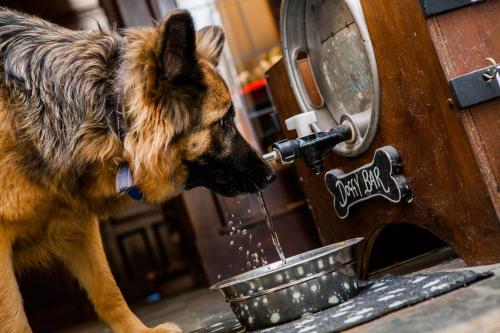 Imagen de la galería de The Red Lion Hotel, en Cromer