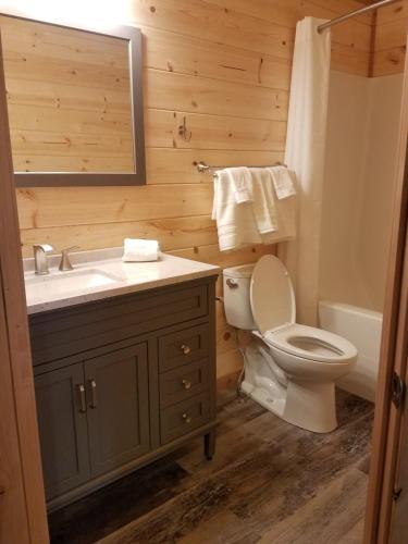 a bathroom with a toilet and a sink and a mirror at 406 Lodge at Yellowstone in Gardiner