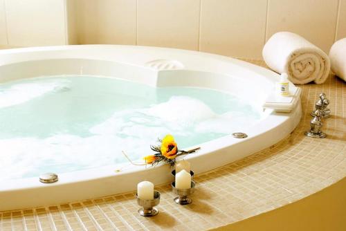 a bird sitting on the edge of a bath tub at Hotel Melodia in Lima