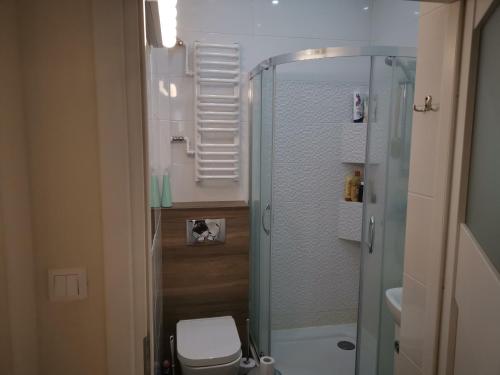 Kúpeľňa v ubytovaní Apartament Chlebnicka