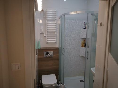 uma pequena casa de banho com chuveiro e WC em Apartament Chlebnicka em Gdańsk