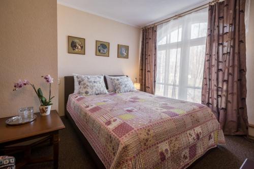 a bedroom with a bed and a window at Karle Hotel in Vitrupe