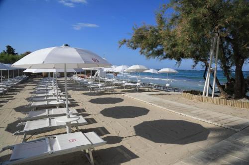 a row of lounge chairs and umbrellas on a beach at Bed Nonnonino in Porto Cesareo