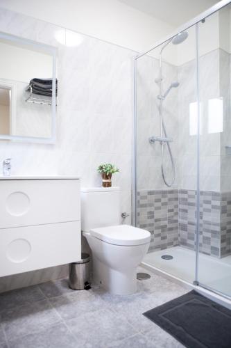 a bathroom with a toilet and a glass shower at Casa Julia 1 Ático vista playa Las Teresitas in San Andrés
