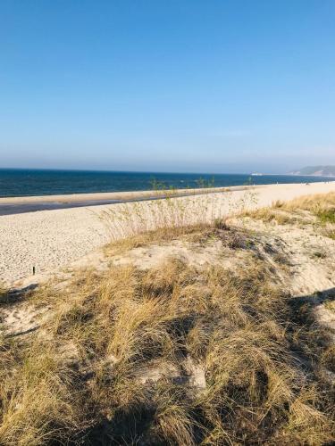a pile of grass on a beach next to the ocean at AQUAMARINA ONYX GOLD in Międzyzdroje