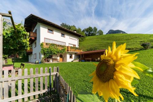 a sunflower in front of a fence in front of a house at Trafisolerhof in Vols am Schlern