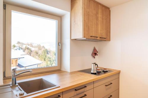 a kitchen with a sink and a window at Trafisolerhof in Vols am Schlern