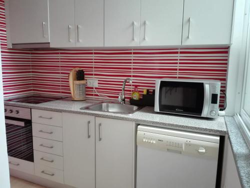 eine Küchentheke mit Mikrowelle und Spüle in der Unterkunft Guesthouse Alentejo in Évora