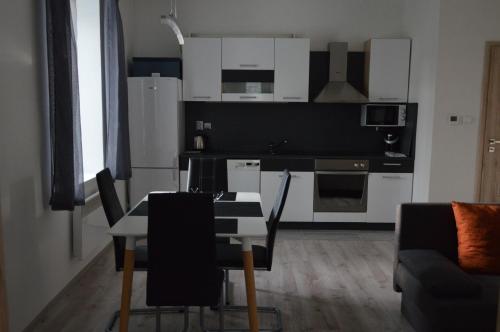 Kuchyň nebo kuchyňský kout v ubytování Apartmanovy byt Trebon
