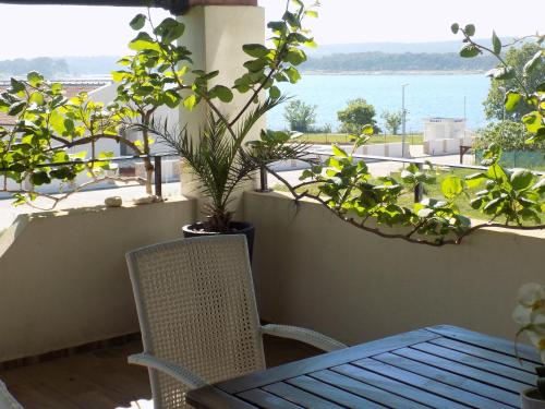 Apartments Eržen 140